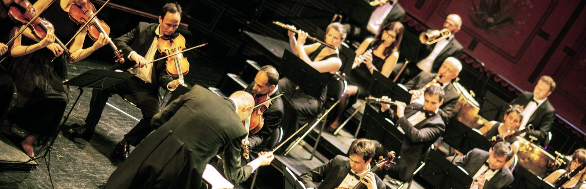 L'orchestre du Palais royal en concert